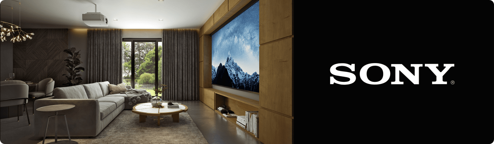 Sony-Overview-Banner